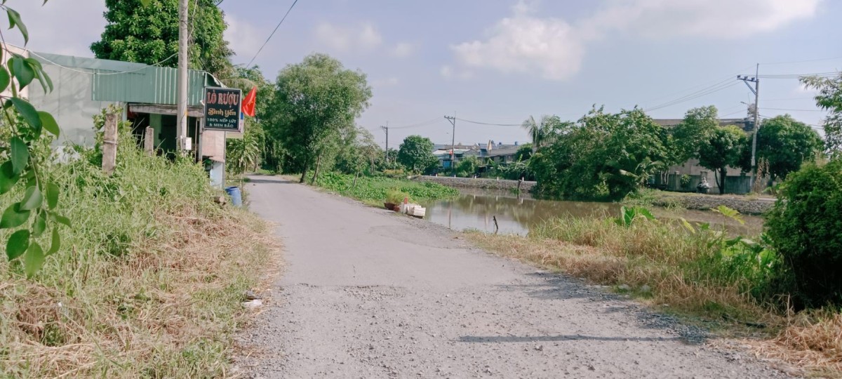 Đất Gấp 1955m2, đất ful thổ Cư Bình Mỹ Củ Chi Chỉ 31 Tỷ