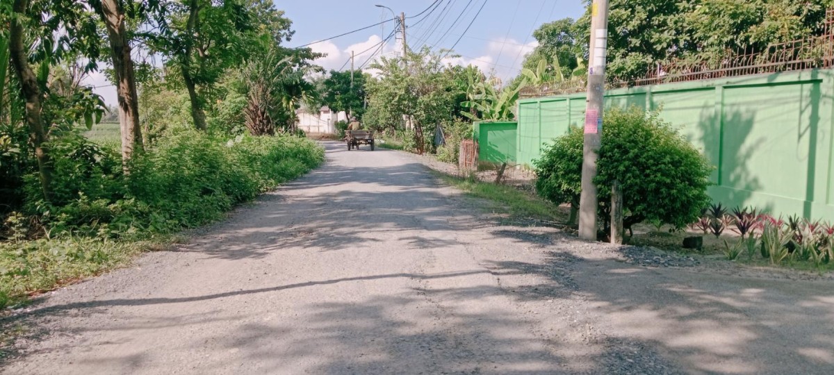 Đất Gấp 1955m2, đất ful thổ Cư Bình Mỹ Củ Chi Chỉ 31 Tỷ