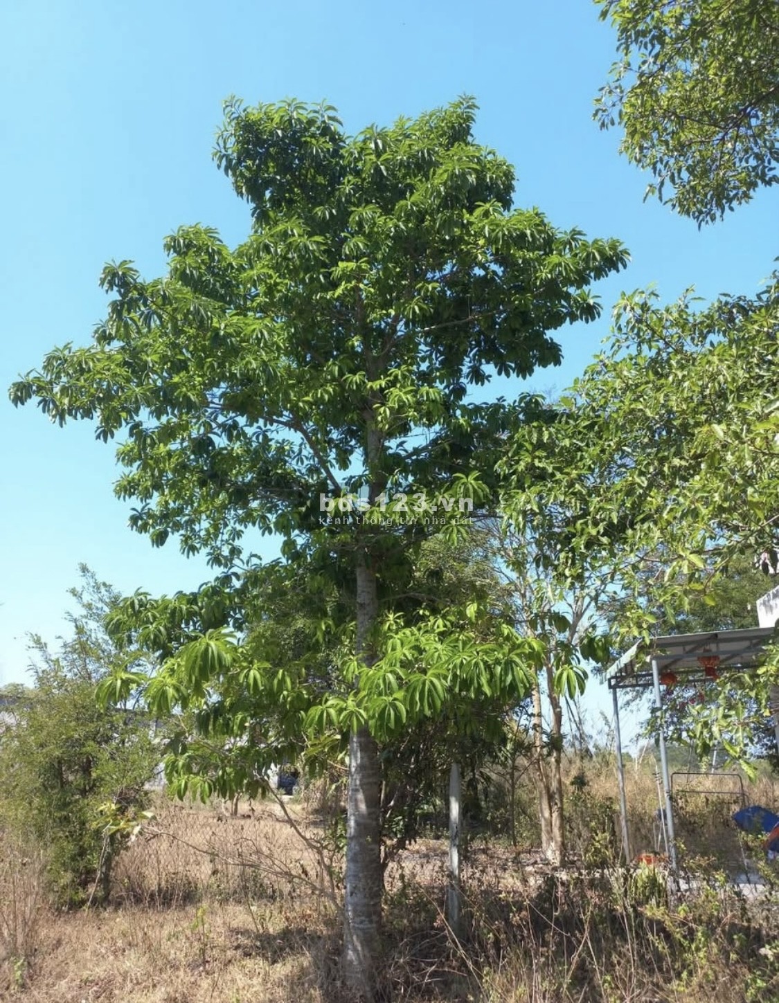 1 sào đất tại phường Long Khánh (Bàu Trâm cũ), Tỉnh Đồng Nai