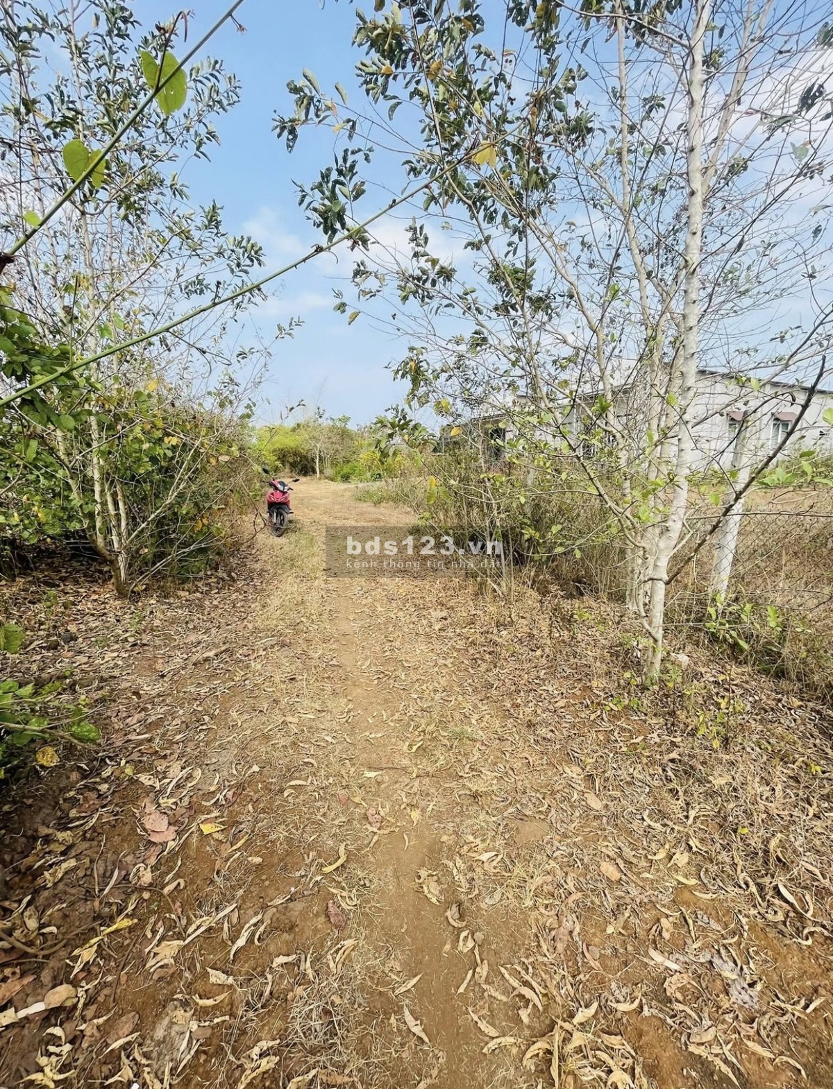 1 sào đất tại phường Long Khánh (Bàu Trâm cũ), Tỉnh Đồng Nai