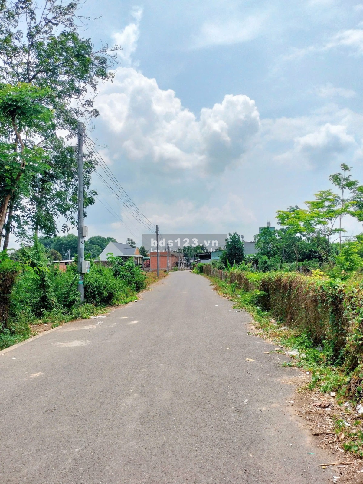 Ngộp 250m2 thổ cư ngay trường học An Linh 460 triệu sổ riêng