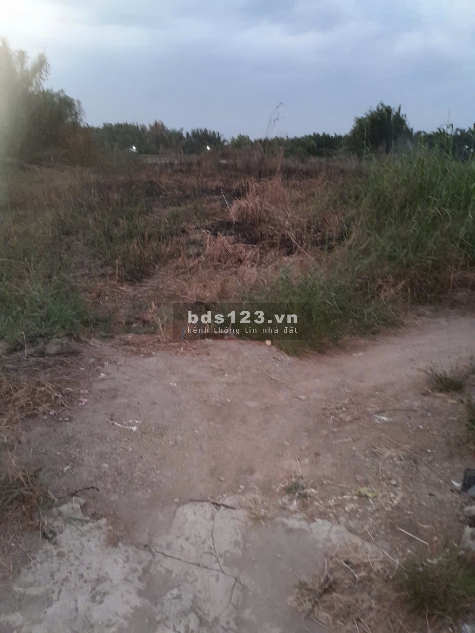 Chính chủ bán lô đất 32.5 x 49.2 = 1599 m2 xã Bình Khánh, Cần Giờ