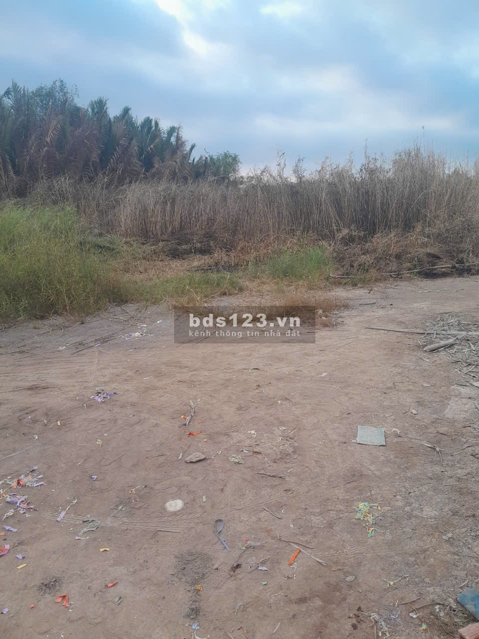 Chính chủ bán lô đất 32.5 x 49.2 = 1599 m2 xã Bình Khánh, Cần Giờ