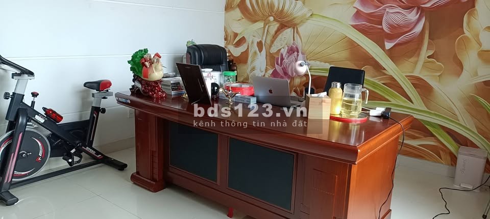 Bán nhà biệt thự phố giá siêu mềm đường Trưng Nữ Vương,…