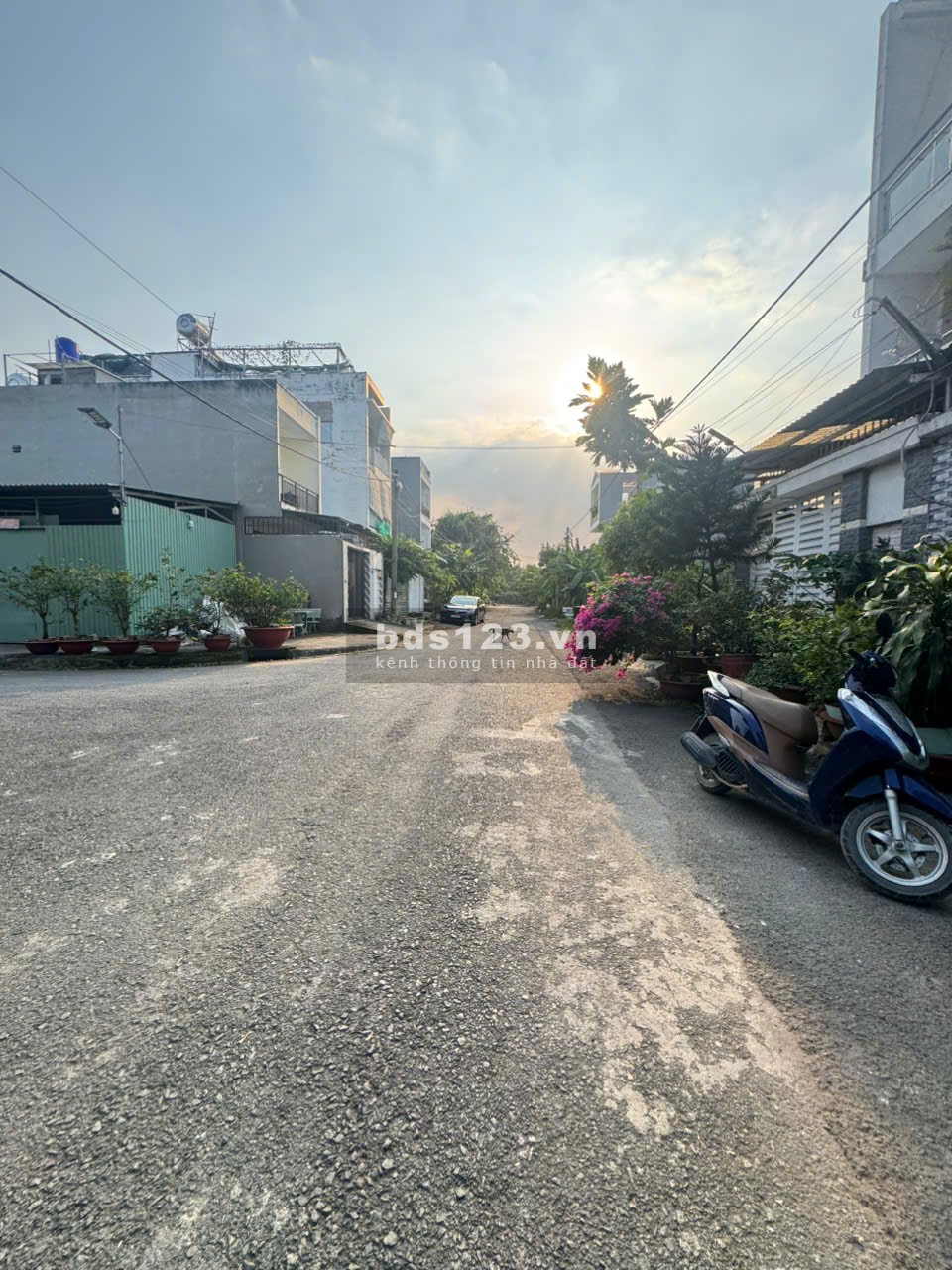 Bán đất nền Đông Dương Q9 – vị trí đẹp, giá đầu tư…