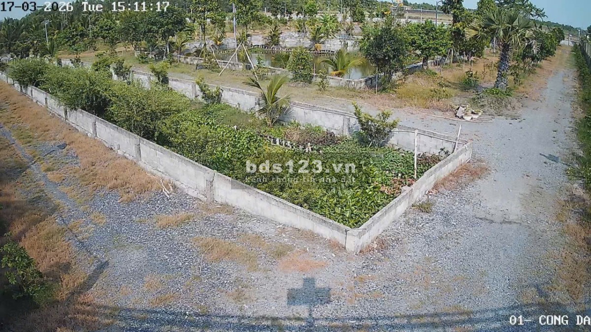 Bán Nhà Vườn 12.000m2, Giá 31 Tỷ, Kênh 12, Xã Lê Minh Xuân Bình…