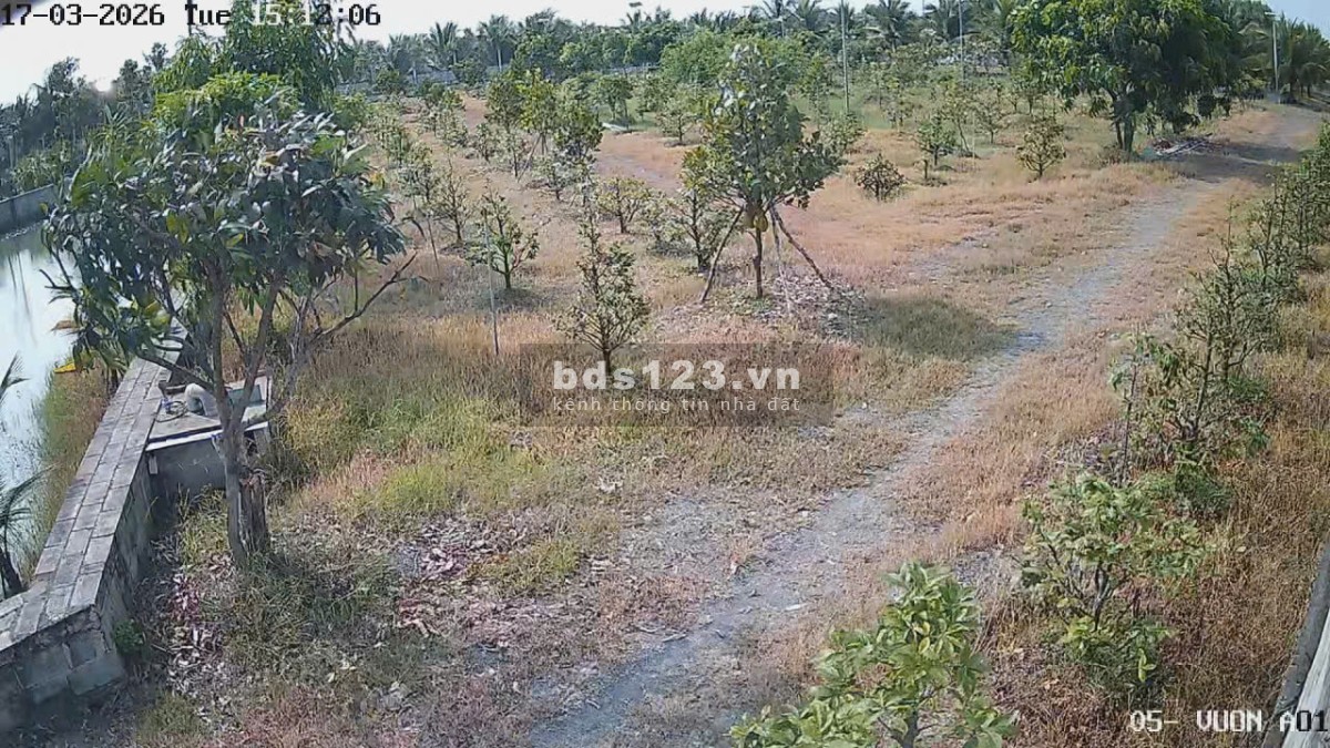 Bán Nhà Vườn 12.000m2, Giá 31 Tỷ, Kênh 12, Xã Lê Minh Xuân Bình…