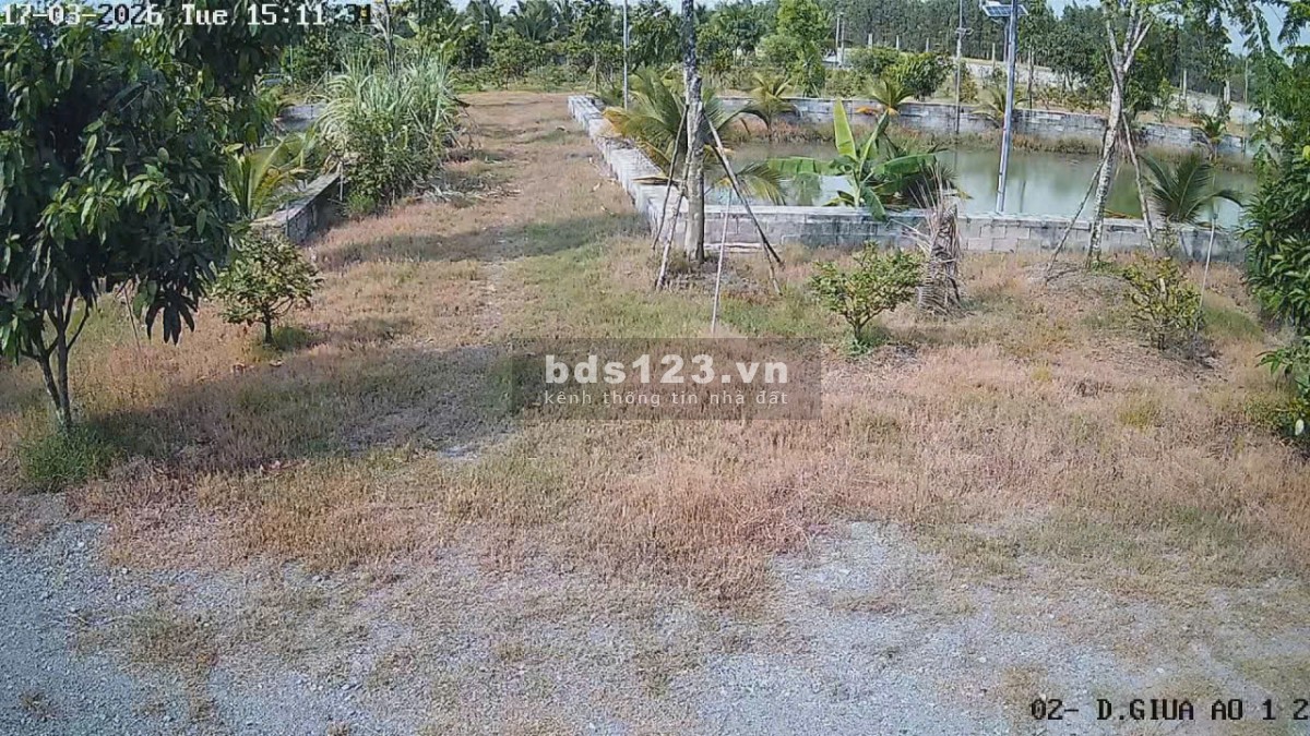 Bán Nhà Vườn 12.000m2, Giá 31 Tỷ, Kênh 12, Xã Lê Minh Xuân Bình…