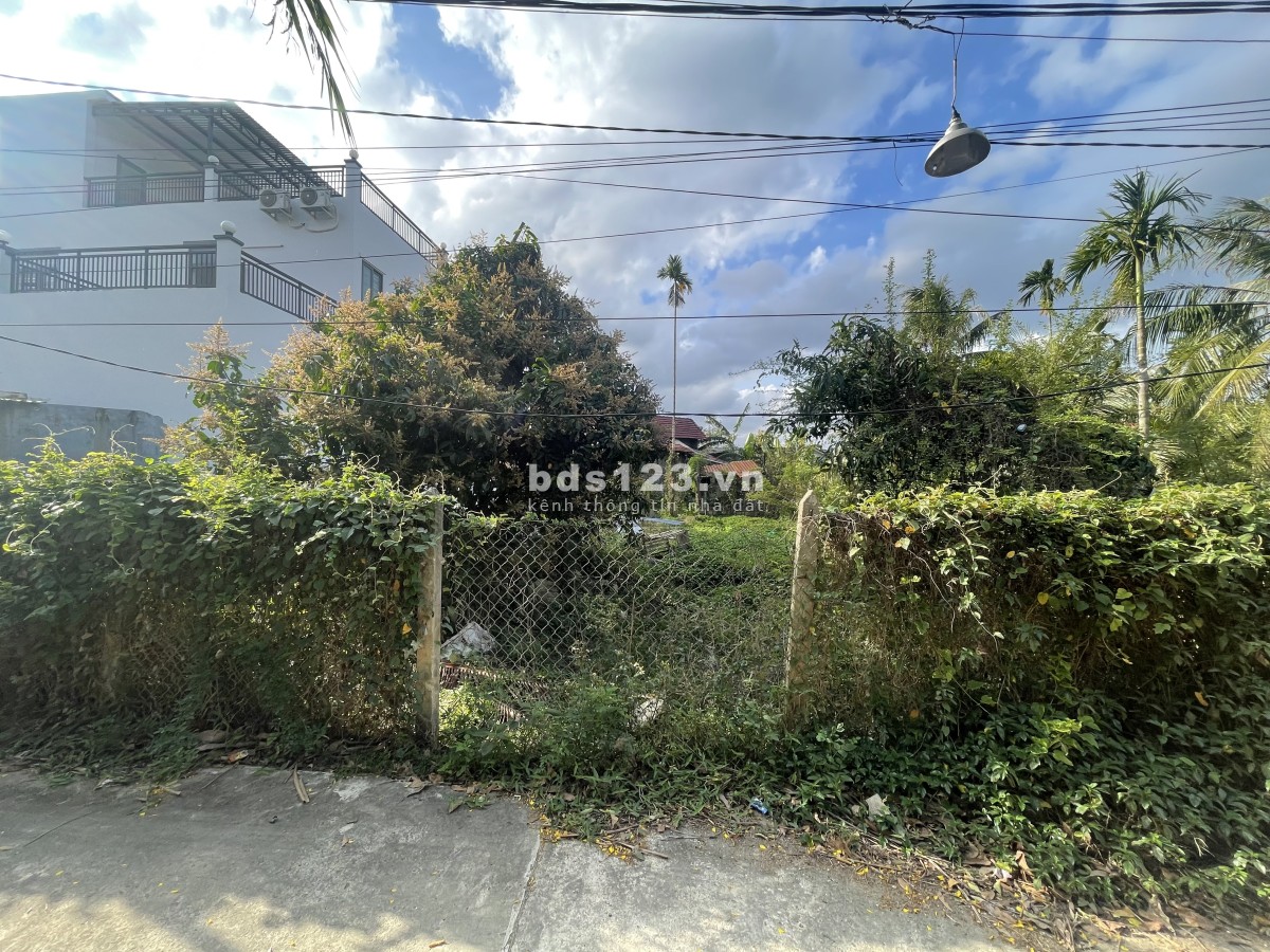 Bán đất Đường Vườn Ông Vinh, xã Diên Điền, Diên Khánh,…