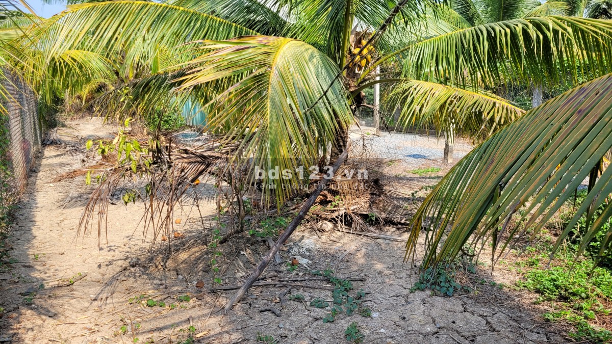Bán đất chính chủ Mỹ Tho, Tiền Giang.