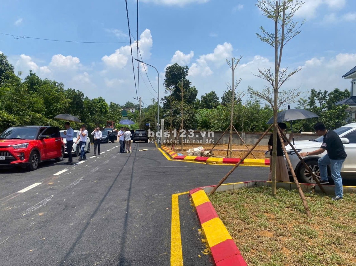 Chính Chủ Cần Bán Gấp Full Thổ Sơn Đông- Sơn Tây