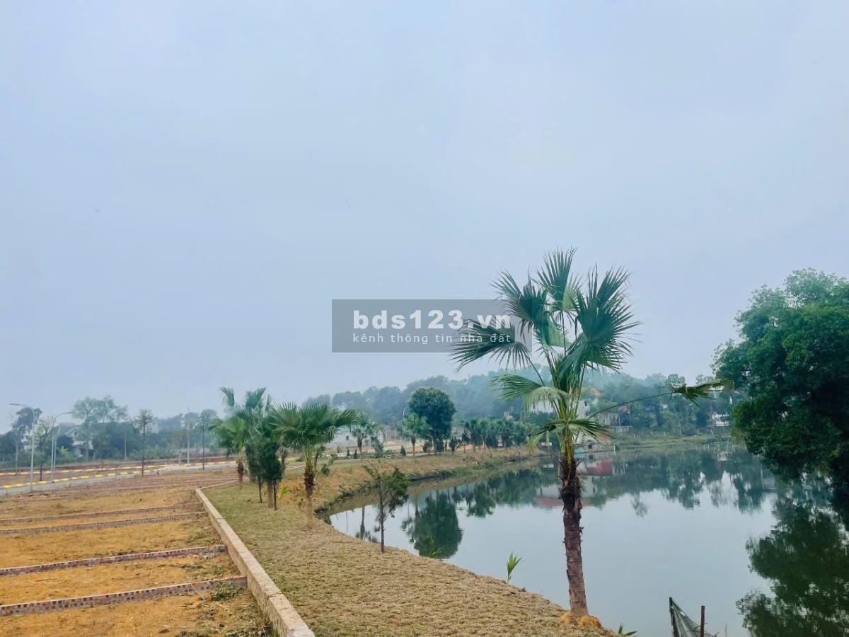 Chính Chủ Cần Bán Gấp Full Thổ Sơn Đông- Sơn Tây