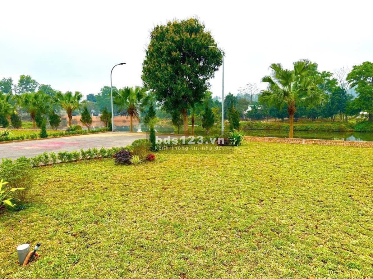 Chính Chủ Cần Bán Gấp Full Thổ Sơn Đông- Sơn Tây