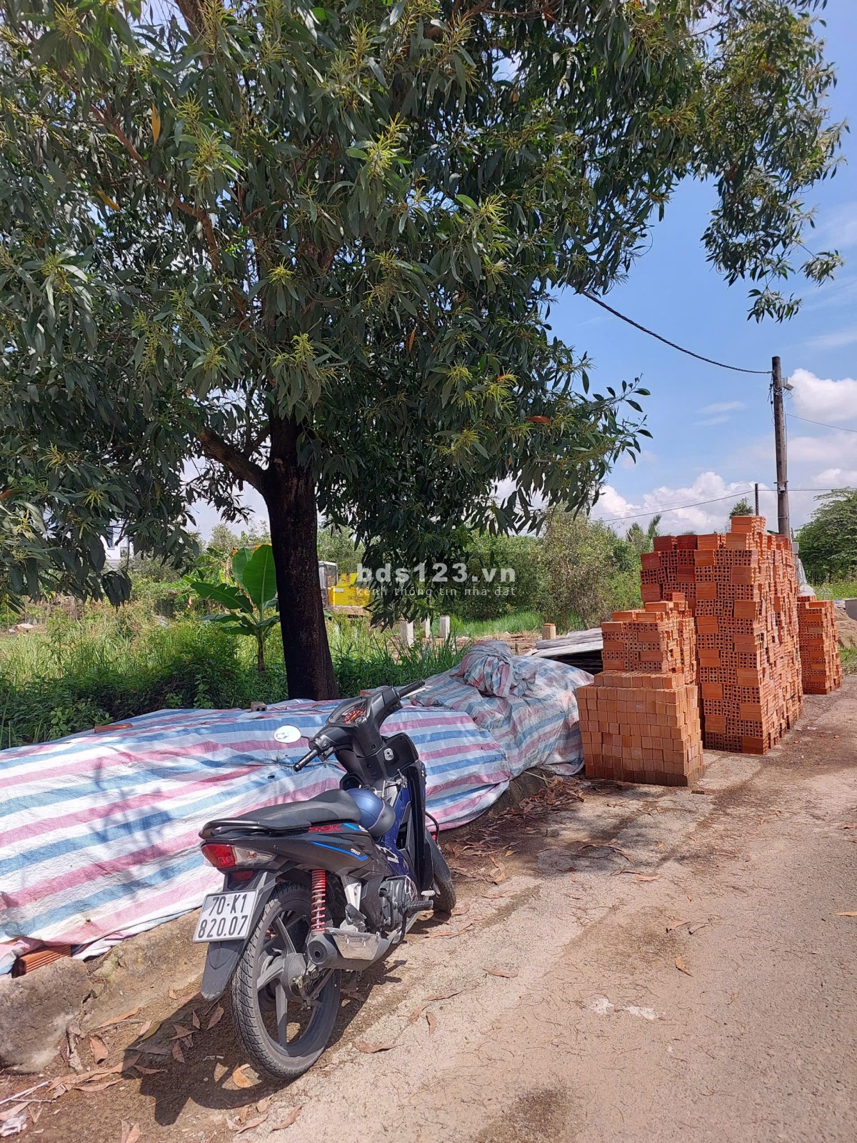 Đất nền dự án Đông Dương quận 9, giá thấp, nhu cầu thực…