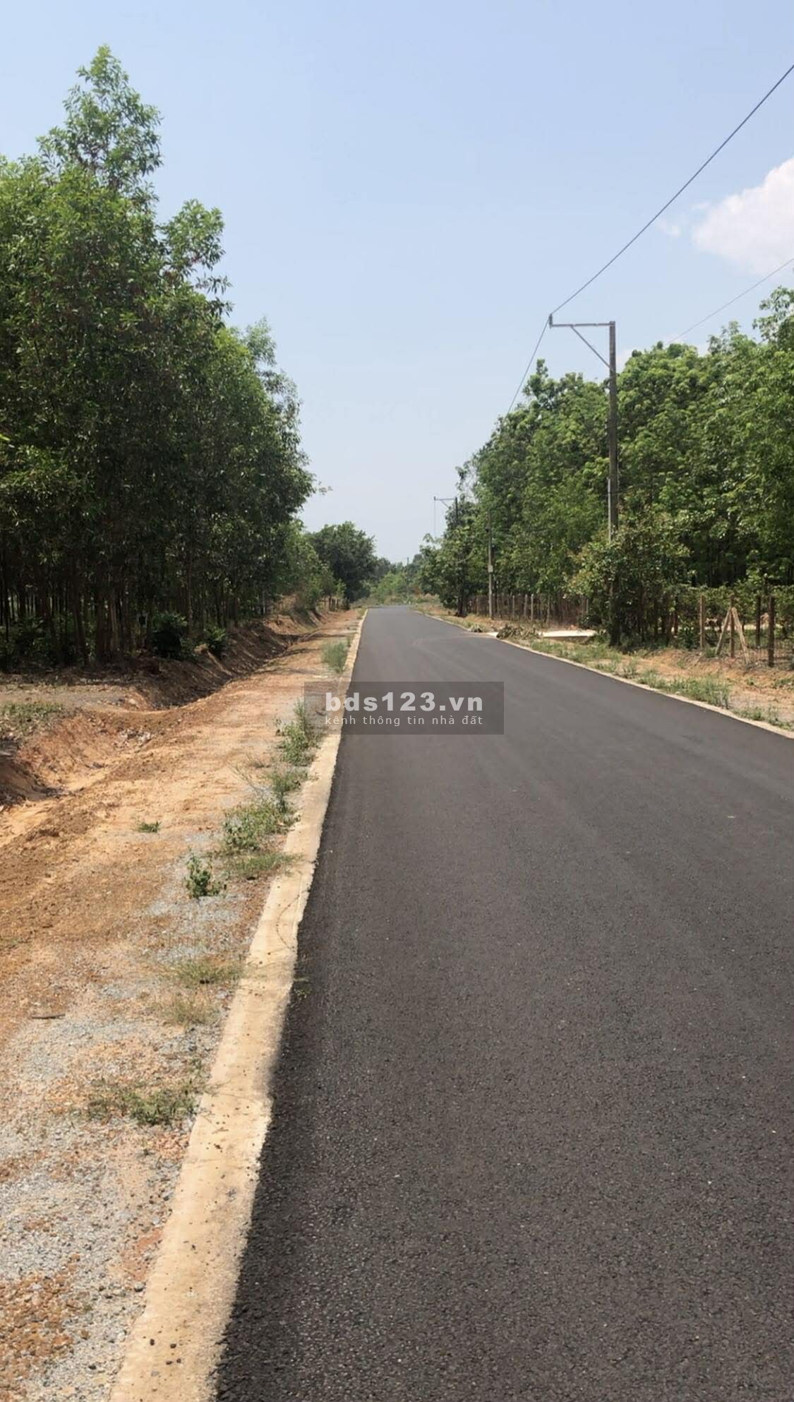 Thanh lý lô đất 2000m2 thổ cư DH 715, dân đông, giá 2 tỷ 450…