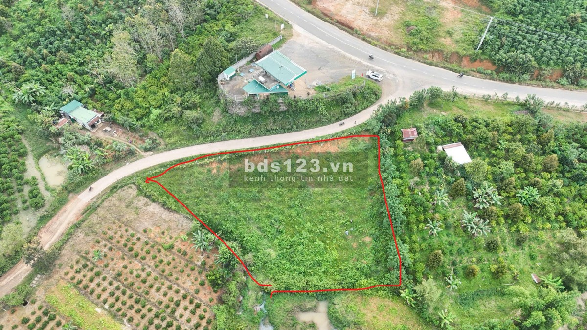 7x30m2 có 195m2 thổ cư mt đường bê tông Di Linh 450tr sổ riêng