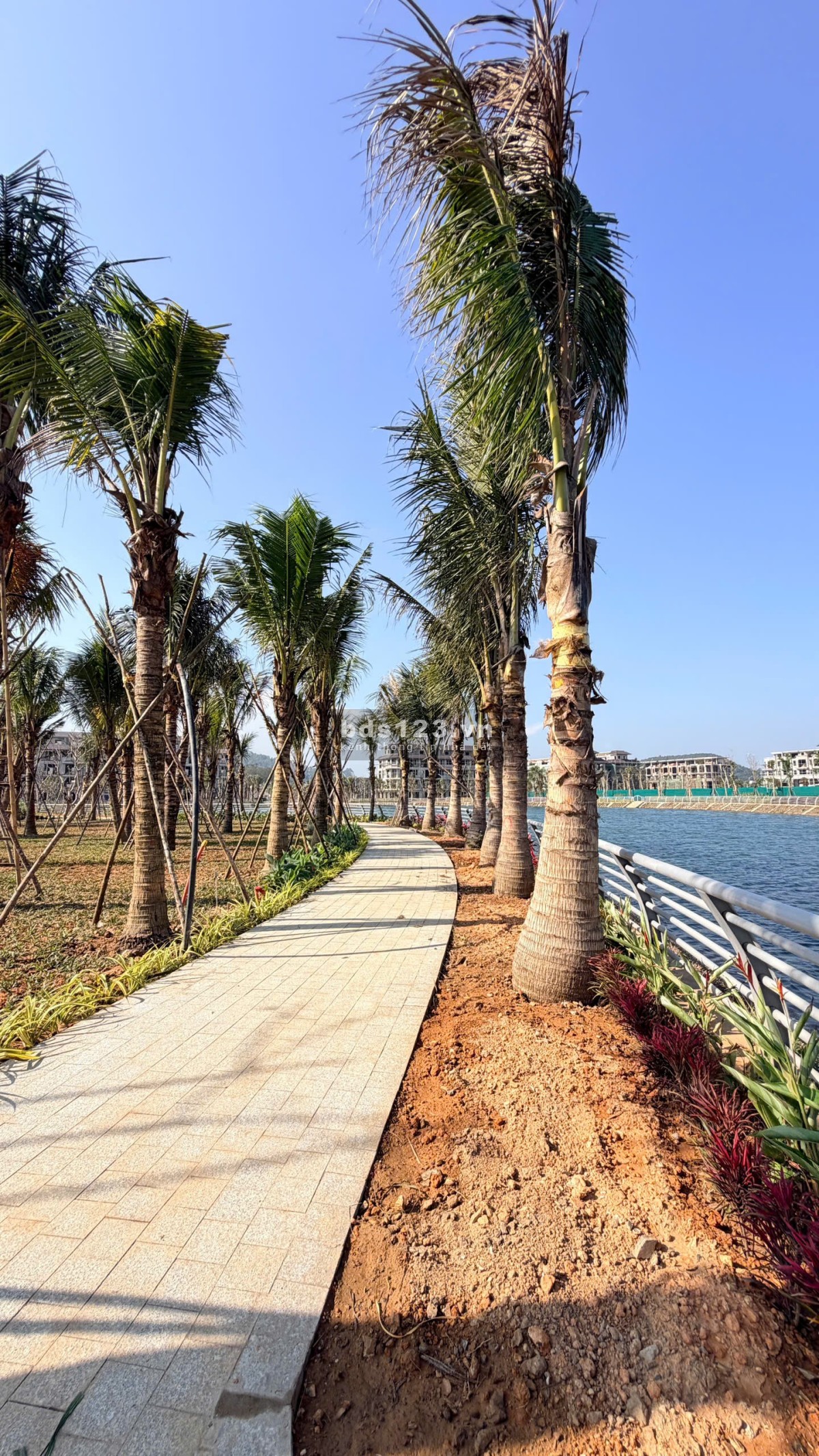 12 căn biệt thự ven hồ 1,3 hecta