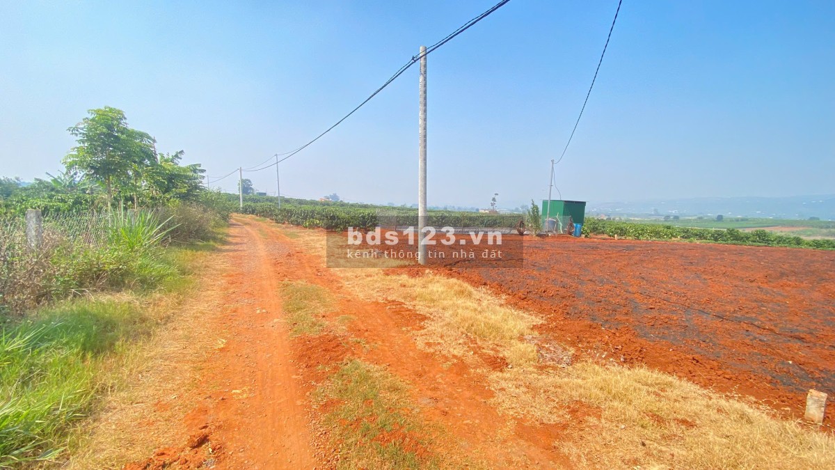 3,6 sào hẻm dh1, tân hội, đức trọng cũ, lâm đồng