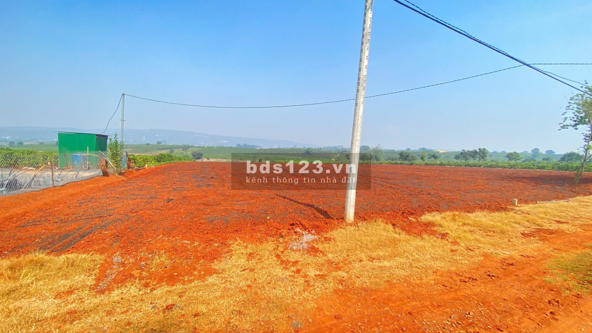 3,6 sào hẻm dh1, tân hội, đức trọng cũ, lâm đồng