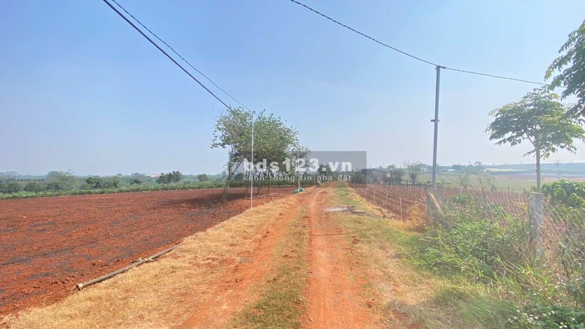 3,6 sào hẻm dh1, tân hội, đức trọng cũ, lâm đồng