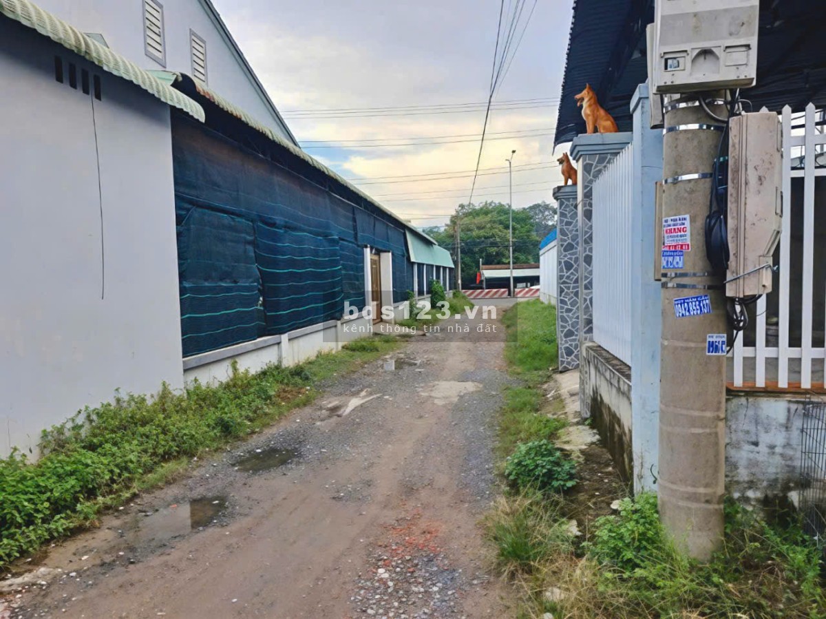 ĐẤT CỦ CHI 3 MẶT TIỀN , 430M2 CÓ SẴN 316M2 THỔ CƯ