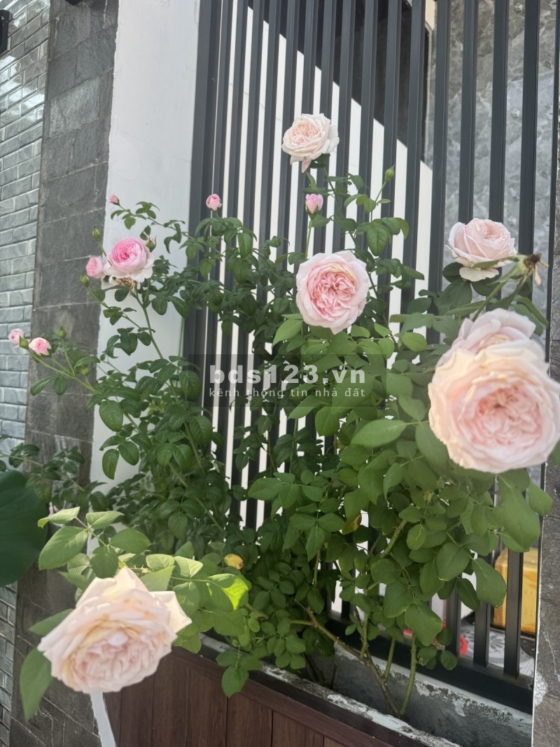 Bán Nhà Phố 3 Tầng Long Phước Q.9 - Khu Phân Lô - Giá Nhỉnh 4 Tỷ