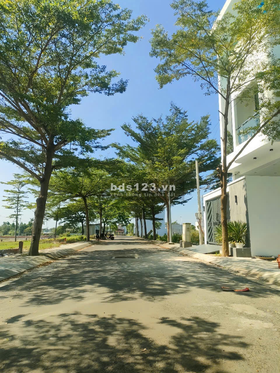 BÁN ĐẤT SỔ RIÊNG – 80m² TÂN PHÚ TRUNG, CỦ CHI