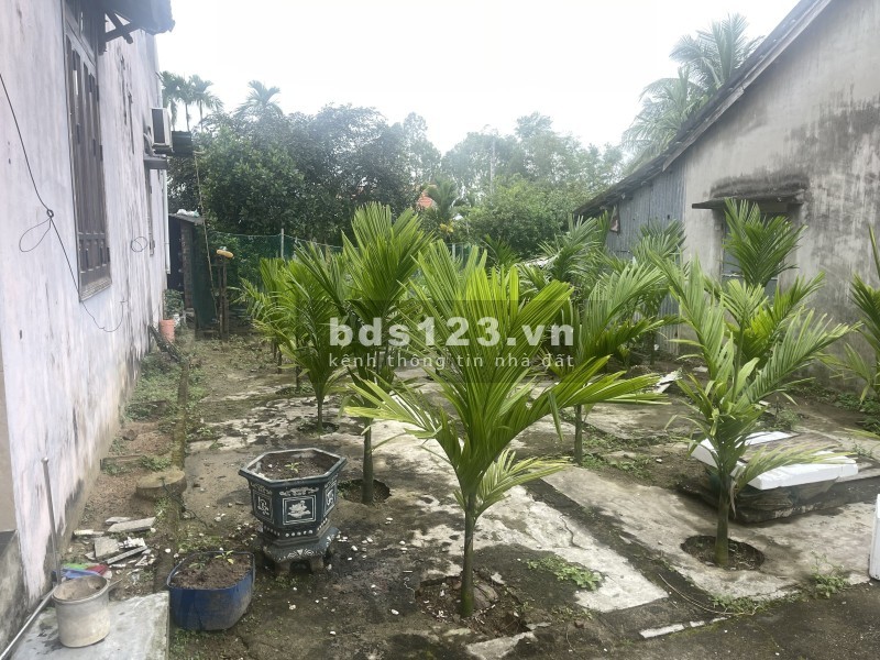  900 TRIỆU – 2 MẶT TIỀN – KHÔNG ĐI XEM LÀ TIẾC ĐẤT DUY…