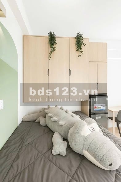 Phòng có thang máy 166 Huỳnh Văn Nghệ, P15, Tân Bình - Giá ưu đãi