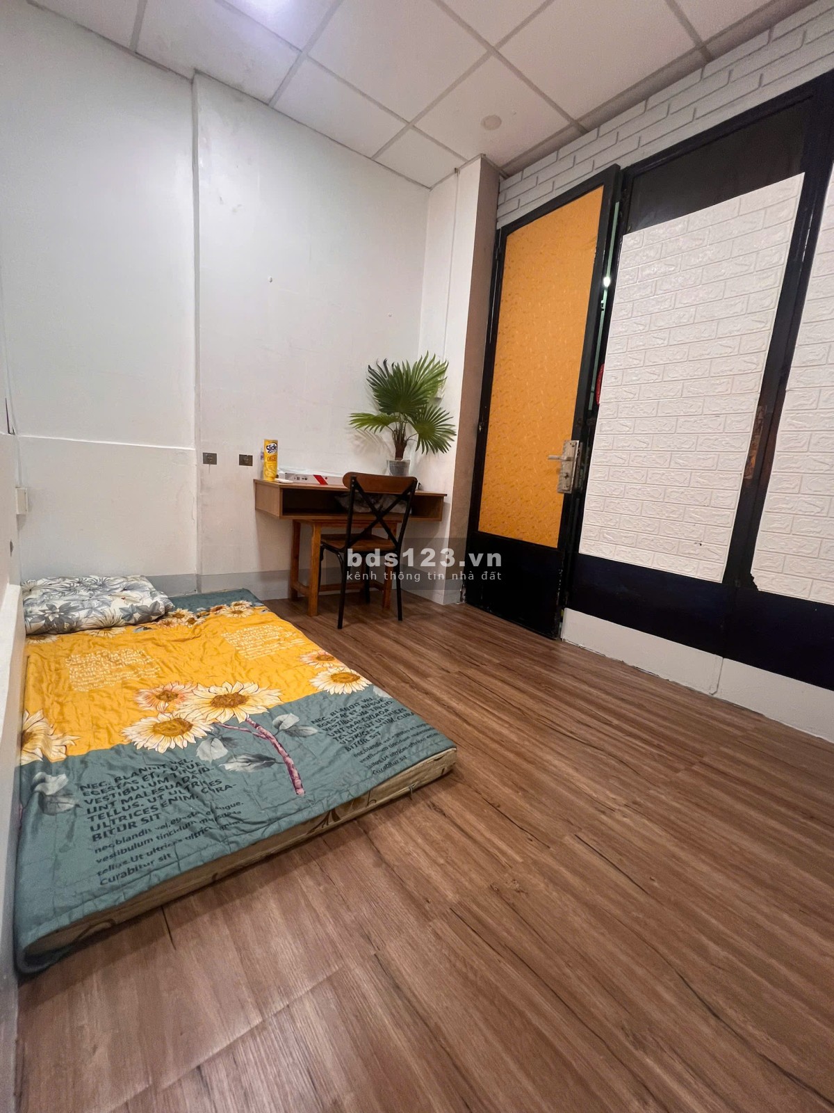 phòng 20m2 có toilet riêng cửa sổ ngay chợ Tân Bình, đường…