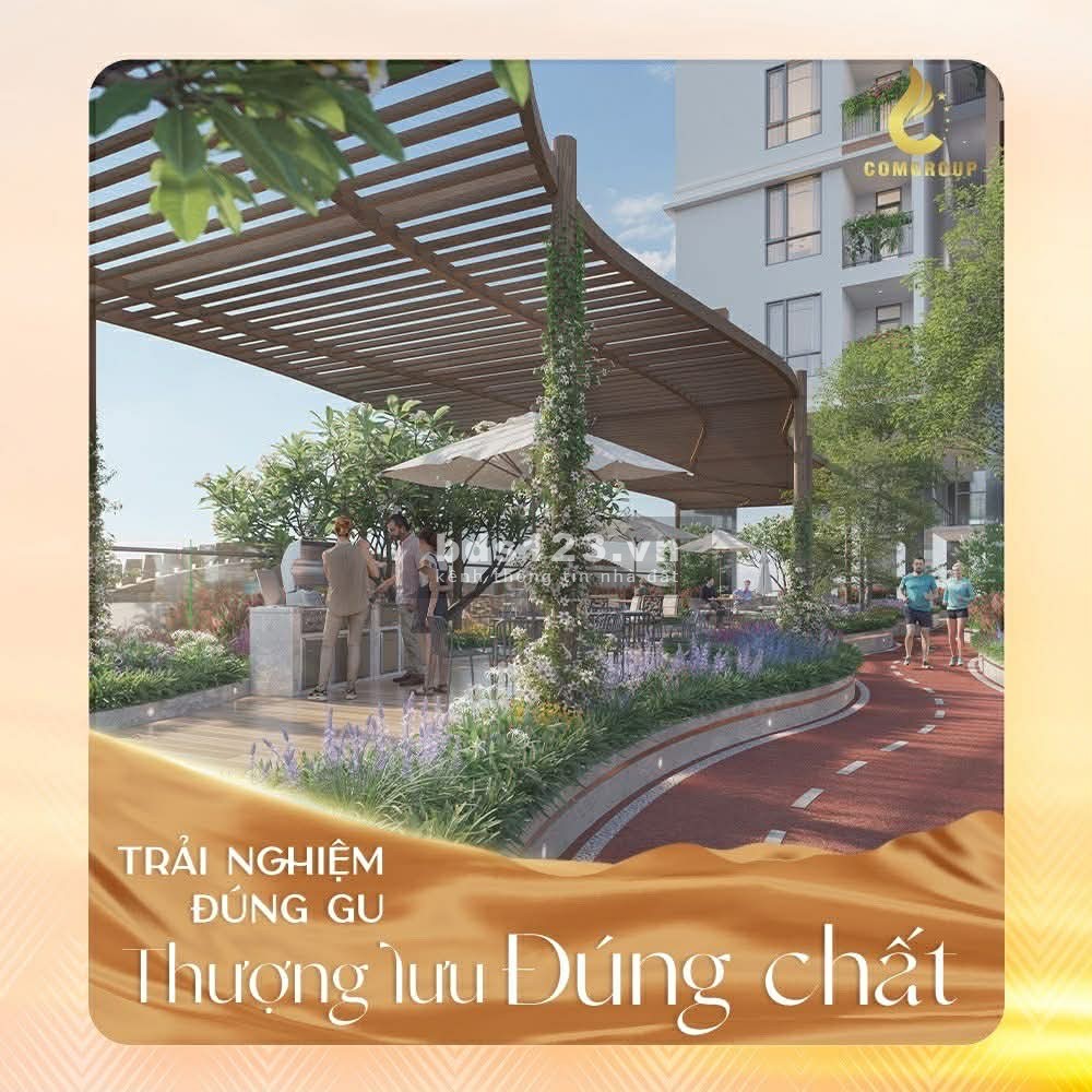 Simona heights biểu tượng nghệ thuật thắp sáng vịnh xanh