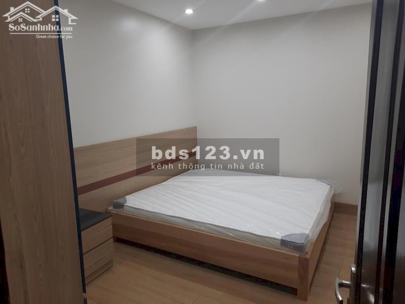 Cho thuê Căn hộ Apartment 1N,1K Full đồ VIP, Ngõ rộng thoáng…