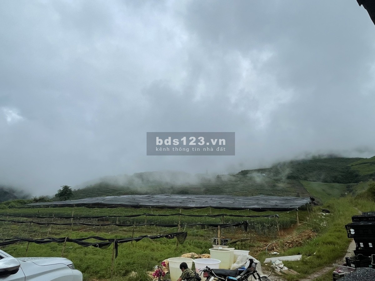 SAPA CƠ HỘI NẮM GIỮ 