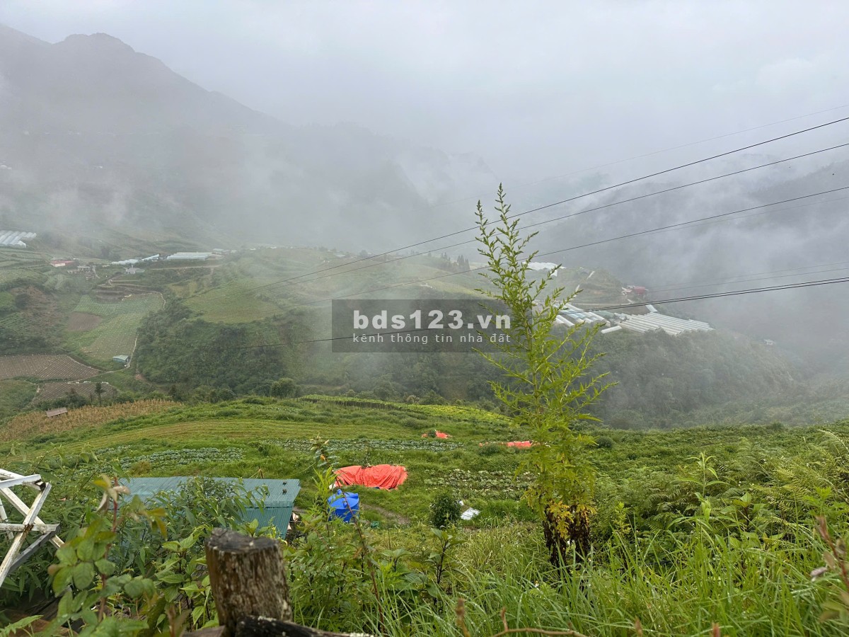 SAPA CƠ HỘI NẮM GIỮ 