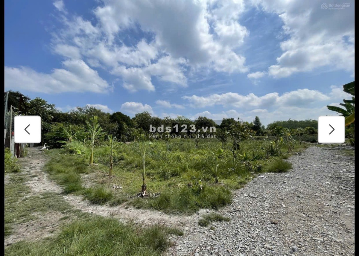 Cho thuê đất MT đường 7m rộng 1 mẫu tại ĐS 812, Xã Phú Mỹ…