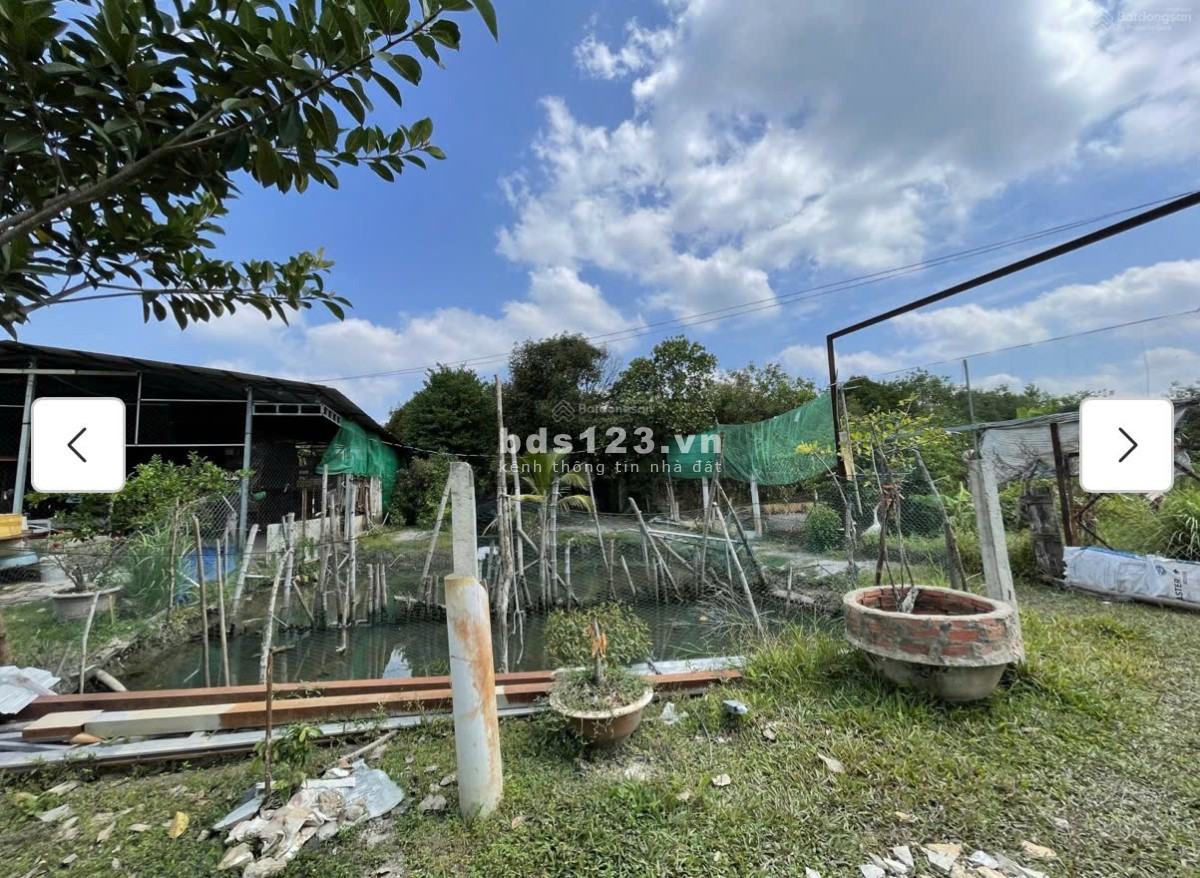 Cho thuê đất MT đường 7m rộng 1 mẫu tại ĐS 812, Xã Phú Mỹ…