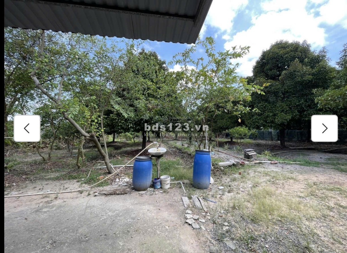 Cho thuê đất MT đường 7m rộng 1 mẫu tại ĐS 812, Xã Phú Mỹ…