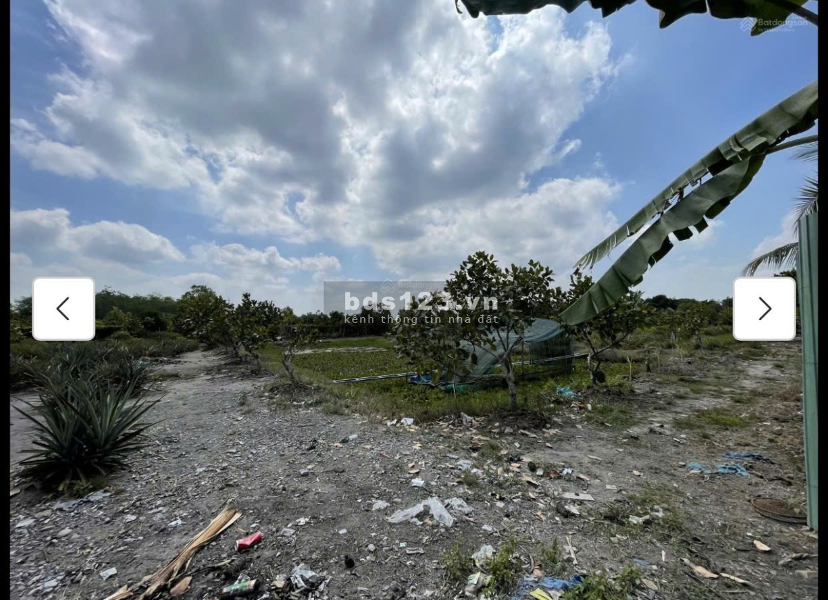 Cho thuê đất MT đường 7m rộng 1 mẫu tại ĐS 812, Xã Phú Mỹ…