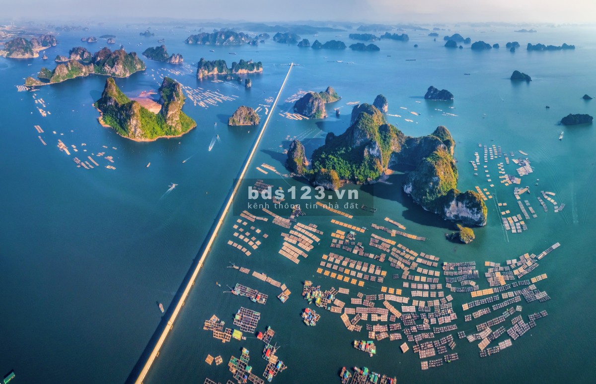 CĂN ĐẮT NHẤT TÒA D – D2117 CRH - VÂN ĐỒN CÓ ĐÁNG MUA KHÔNG?