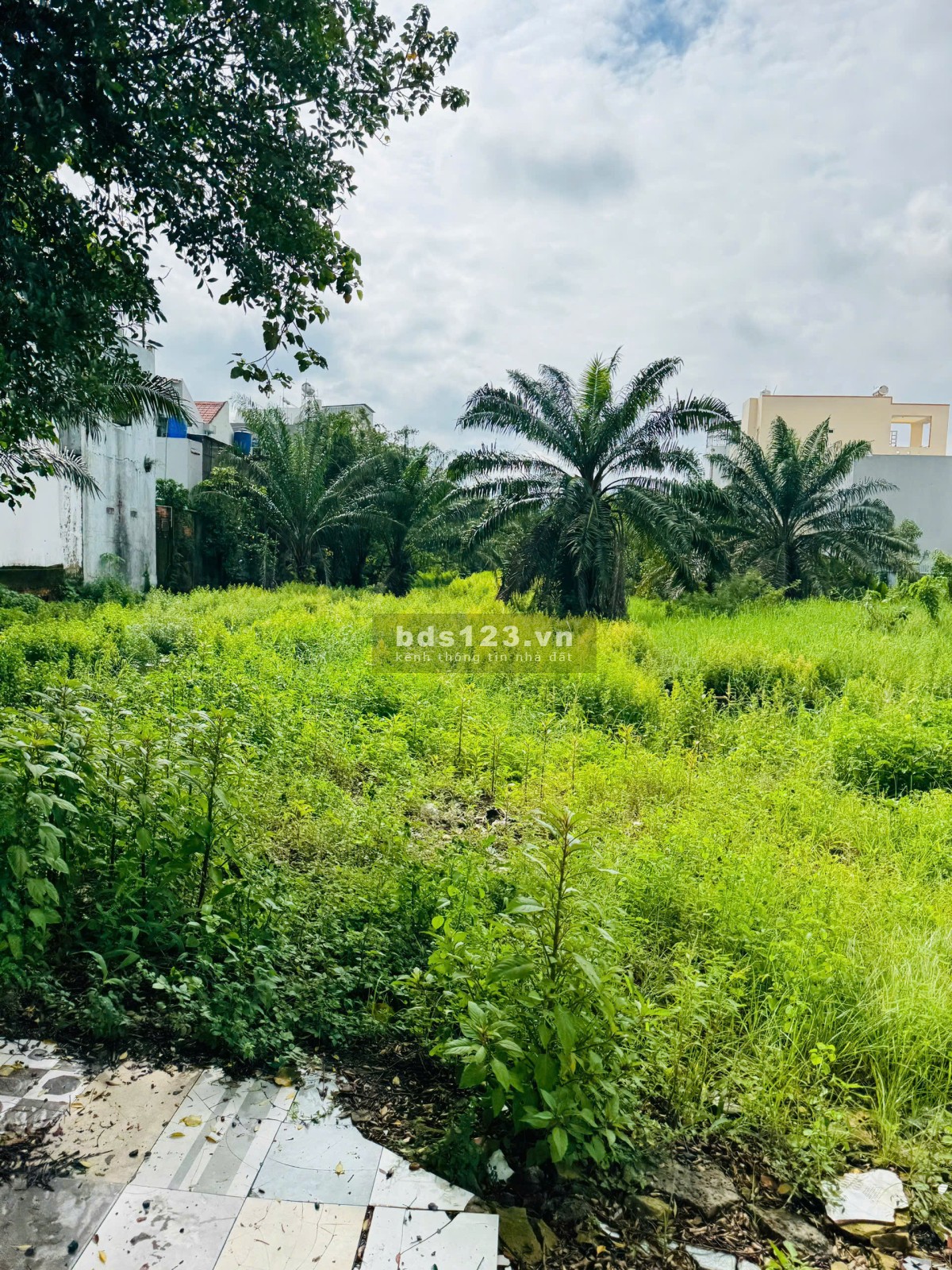 Bán đất mặt tiền đường Thới Tam Thôn Tô Ký, 35x150 vuông…