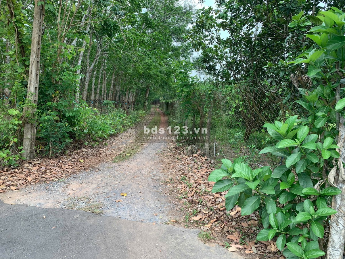 Cơ hội đầu tư: Đất vườn chính chủ xã Trị An, Vĩnh Cửu,…