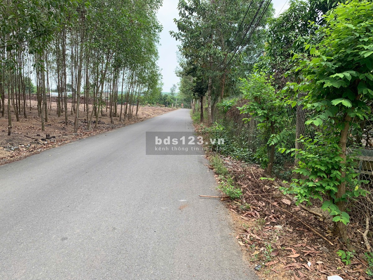 Cơ hội đầu tư: Đất vườn chính chủ xã Trị An, Vĩnh Cửu,…