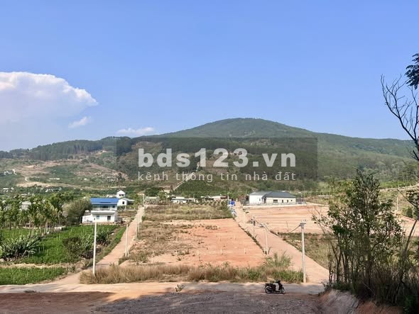 ĐẤT 2 MẶT TIỀN – THUNG LŨNG THÔNG XANH, KHÔNG GIAN SỐNG CHẠM CẢM XÚC