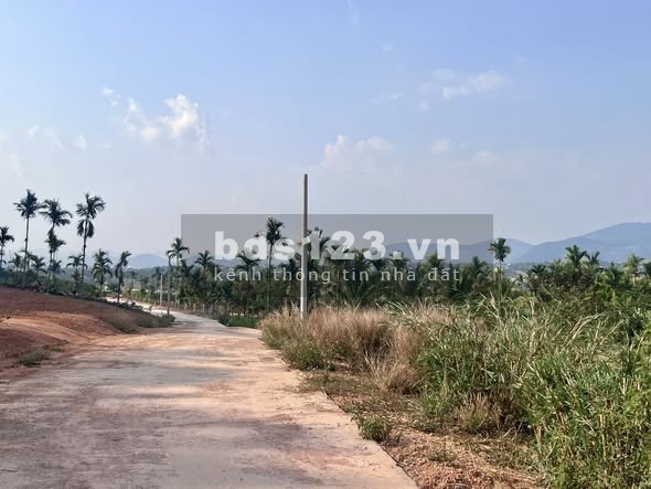 ĐẤT 2 MẶT TIỀN – THUNG LŨNG THÔNG XANH, KHÔNG GIAN SỐNG CHẠM CẢM XÚC