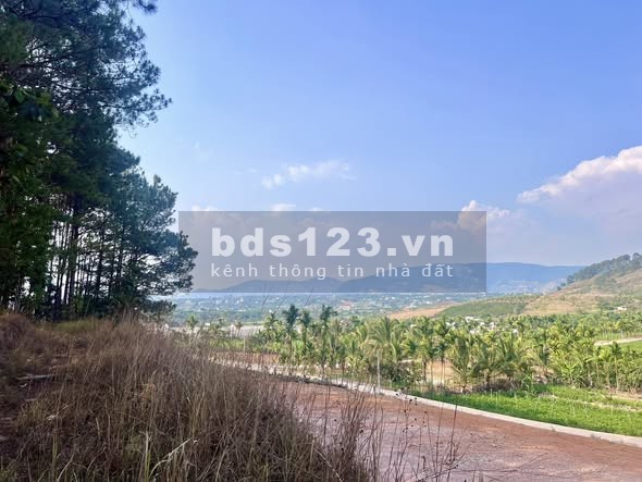 ĐẤT 2 MẶT TIỀN – THUNG LŨNG THÔNG XANH, KHÔNG GIAN SỐNG CHẠM CẢM XÚC