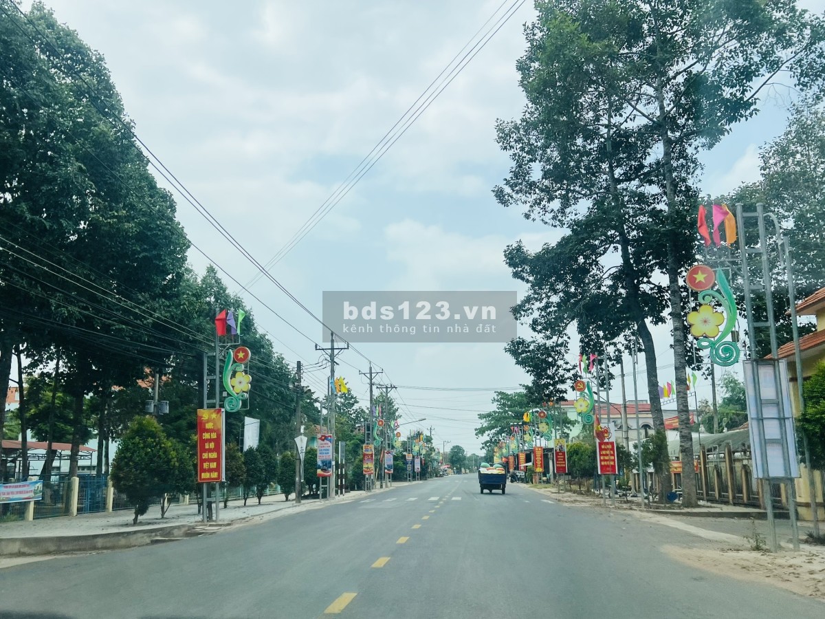 Bán Vườn Mít Thái tại TP.HCM Mới, diện tích 280m2 thổ cư, chỉ 480 triệu, Đường Nhựa 10m, Gần Chợ