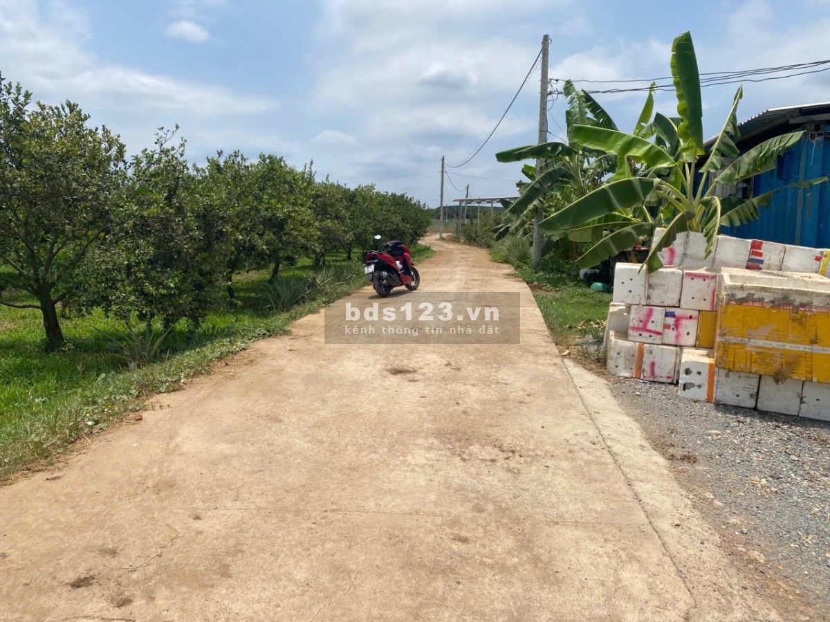 Ngộp sâu 1.2 mẫu Láng Dài- Đất Đỏ- BRVT