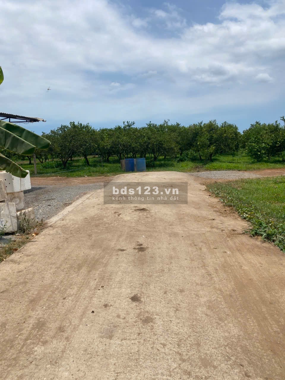Ngộp sâu 1.2 mẫu Láng Dài- Đất Đỏ- BRVT
