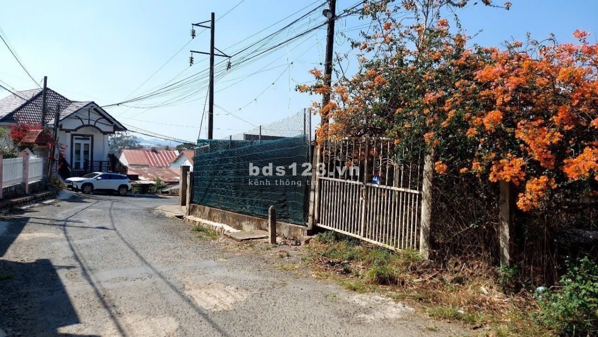 Nền đất biệt thự rộng 500m view thông đẹp. Khu dân trí cao…
