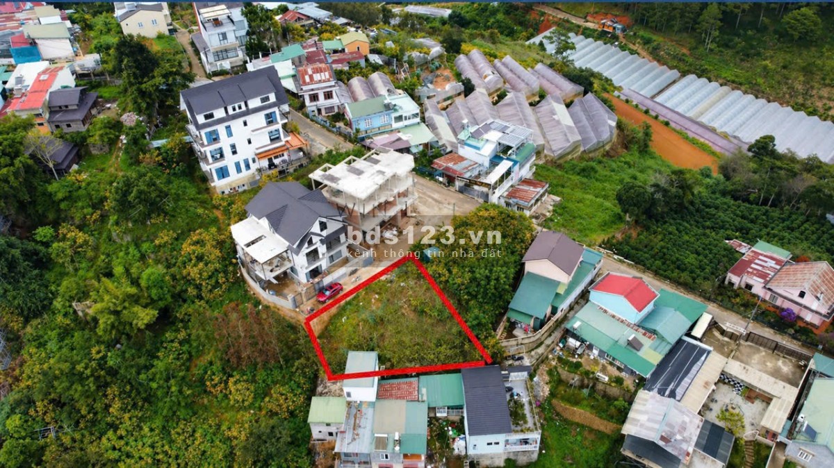 Nền biệt thự view thông vĩnh viễn , săn mây ngày và đêm…